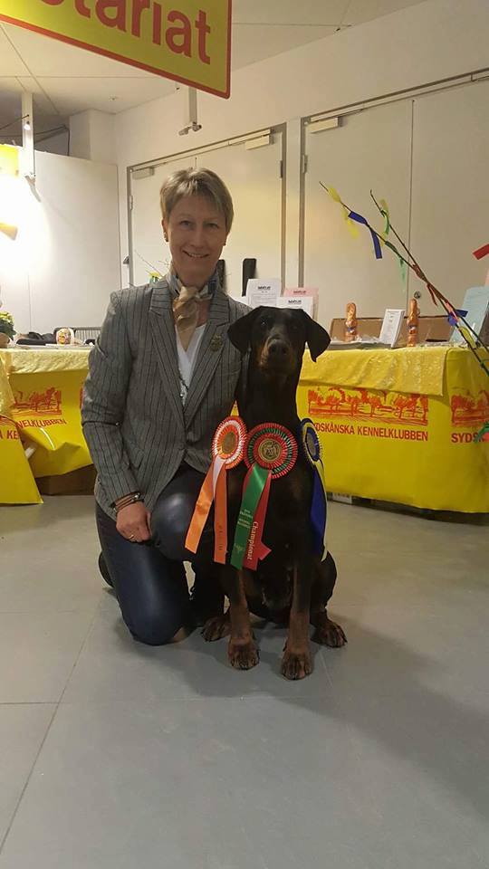 International Dogshow Malmø, Sweden